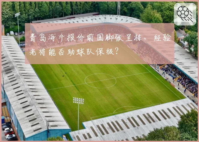 青岛海牛报价前国脚张呈栋，经验老将能否助球队保级？