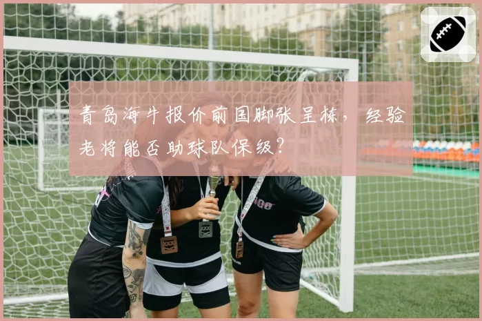 青岛海牛报价前国脚张呈栋，经验老将能否助球队保级？