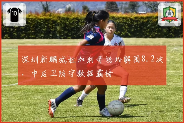 深圳新鹏城杜加利奇场均解围8.2次，中后卫防守数据霸榜